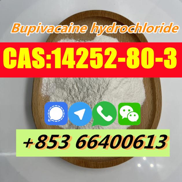  Factory Supply High Quality CAS 14252-80-3 Bupivacaine hydrochloride