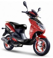 Gas Mopeds