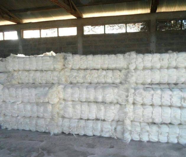 Sisal Fiber