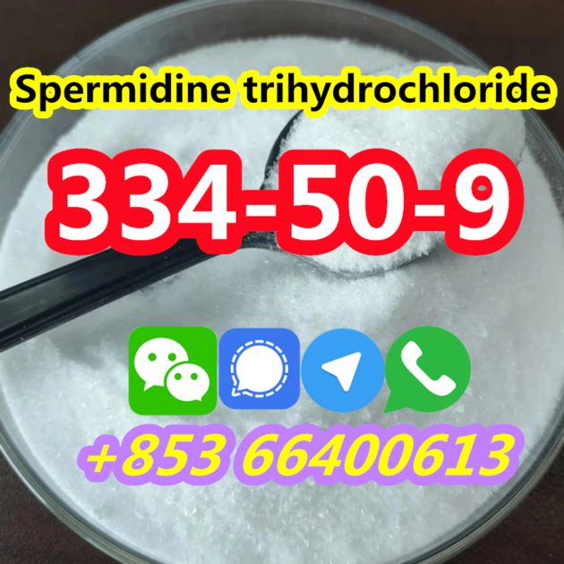  Good Quality Best Price CAS 334-50-9 Safety shipping Spermidine trihydrochloride