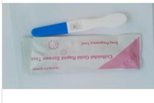 HCG pregnancy test midstream