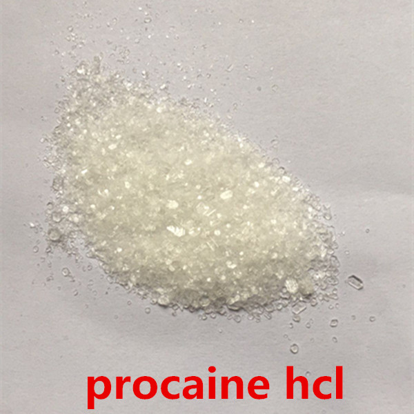 procaine hydrochloride 