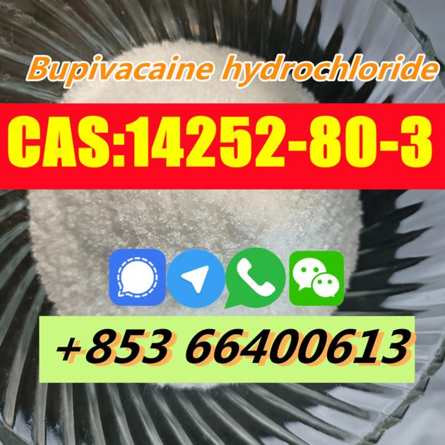 Factory Supply High Quality CAS 14252