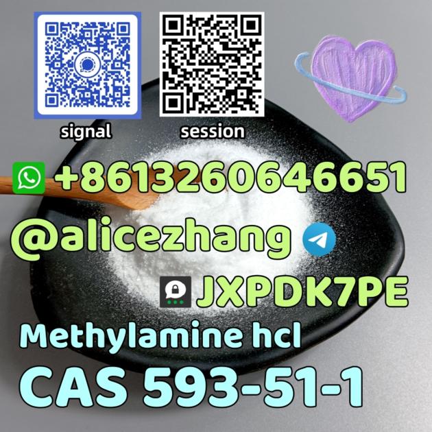 CAS 593-51-1 Methylamine hcl high quality best sell factory supply