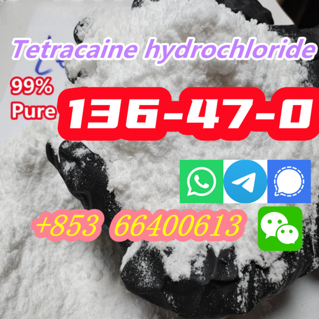 Hot Selling High Purity 99% CAS 136-47-0 Tetracaine hydrochloride