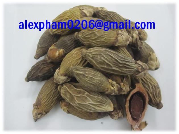 Dried Betel Nut Areca Nut Supari