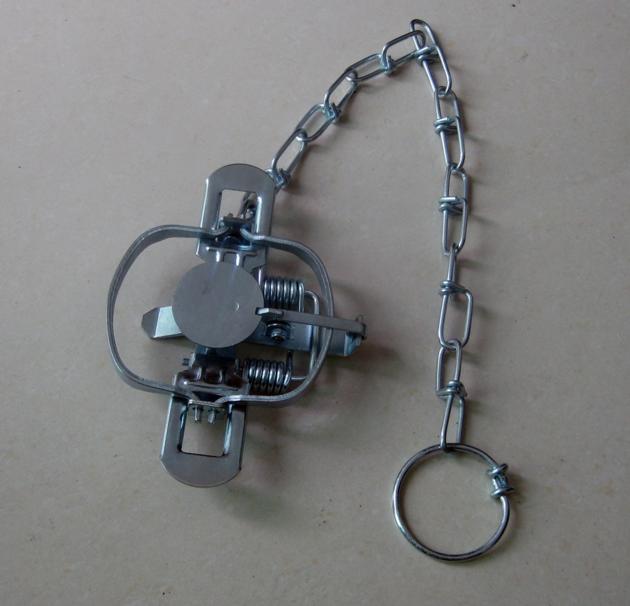 Outdoor Metal Coil Spring Animal Trap