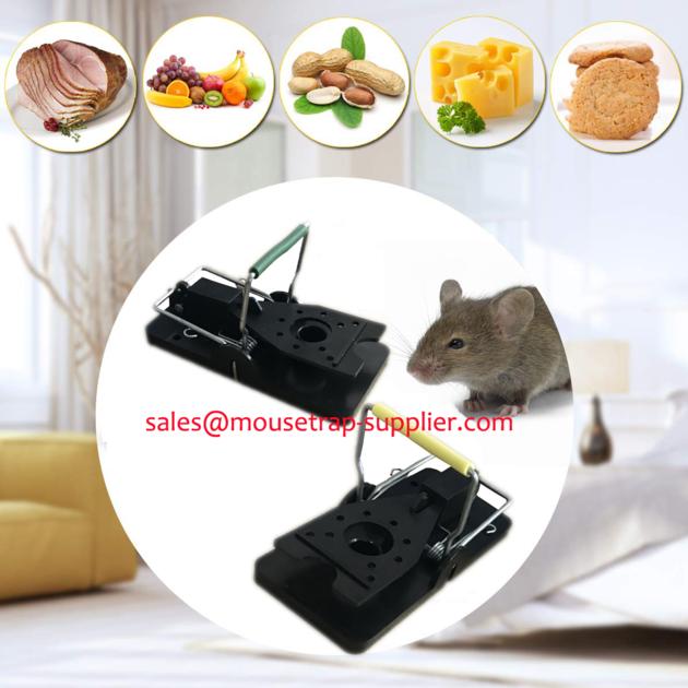 Humane Plastic Quick Catch Kill Mouse