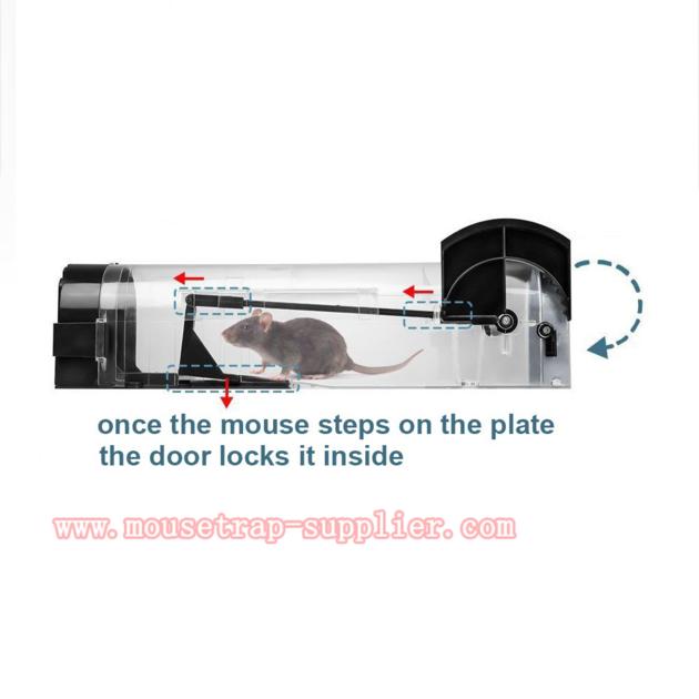 Humane Reusable Mouse Trap Cage Durable