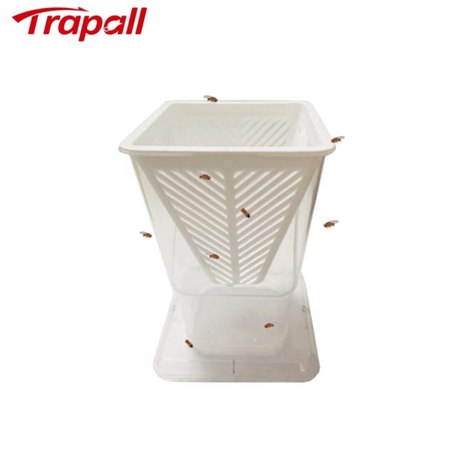 Reusable Plastic Fruit Fly Live Catch Trap Insects Bug Cather