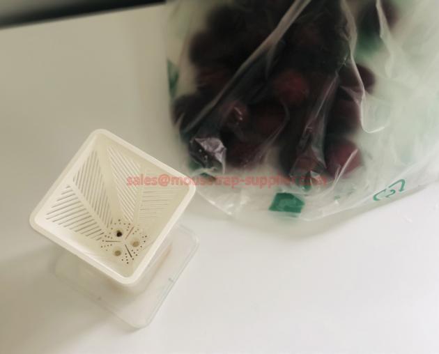 Reusable Plastic Fruit Fly Live Catch