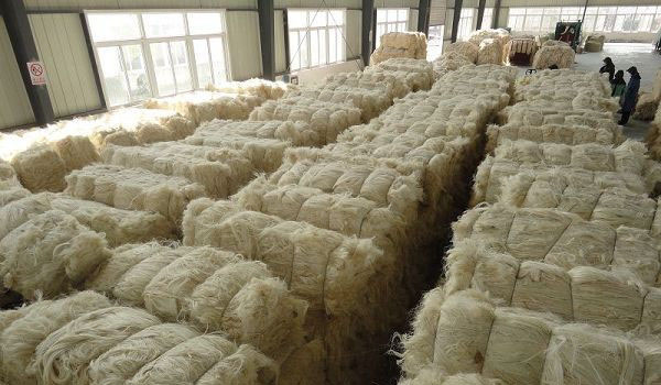 sisal fiber