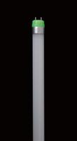 LED T8 lamp