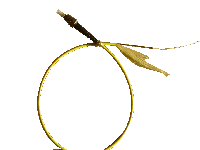 ST armored fiber optic pigtail