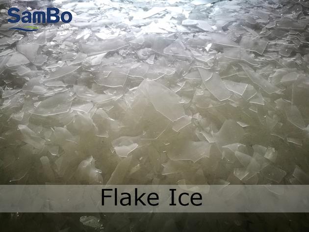 SamBo Best Quality Ice Plant 10TPD