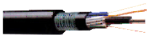 Direct buried fiber optic cable