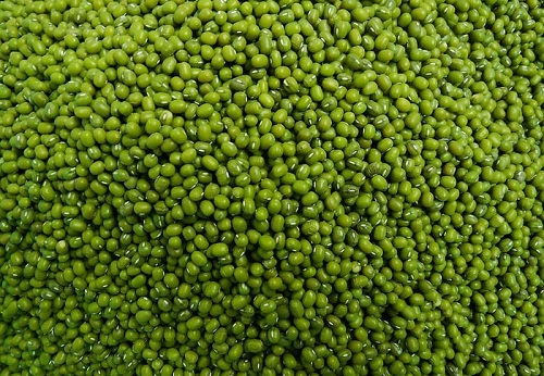 GREEN MUNG BEANS 
