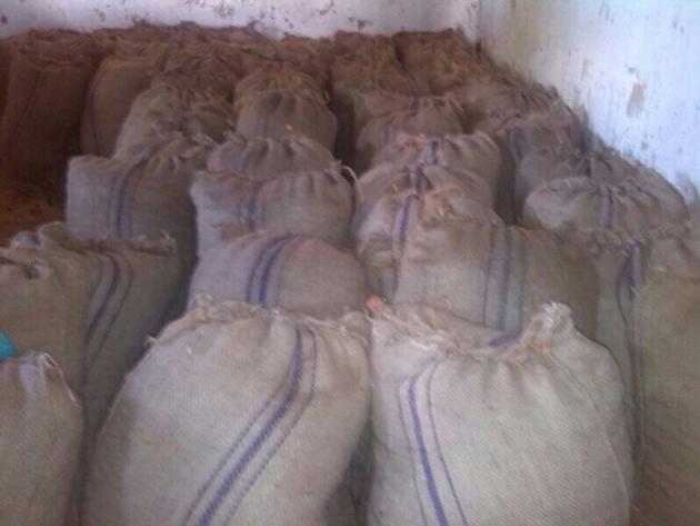 CASHEW NUTS