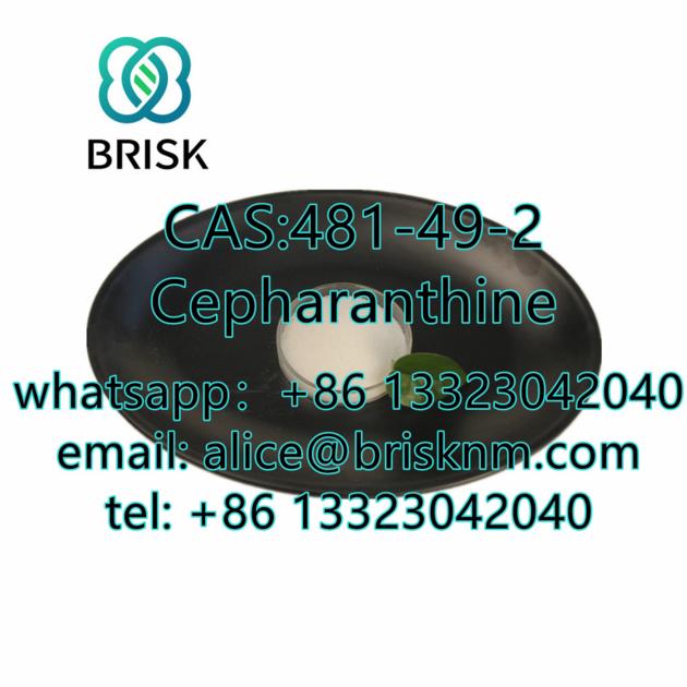 Factory Direct Cepharanthine 99 Powder CAS