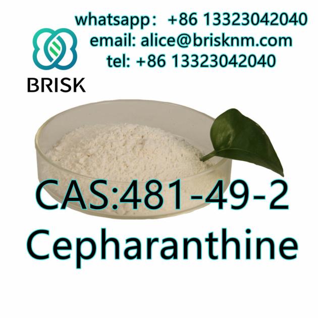 Safe Delivery Factory Direct Cepharanthine 99% powder CAS:481-49-2 brisk