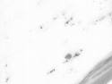 Marble M311