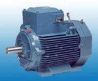 Industrial Pumps & Motors