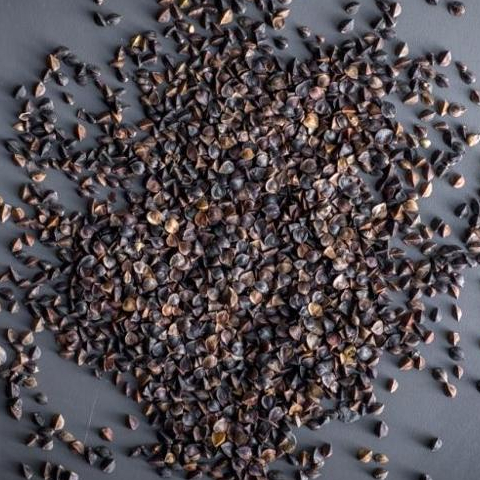 Organic Buckwheat Raw