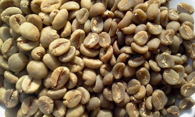 Robusta Coffee Beans