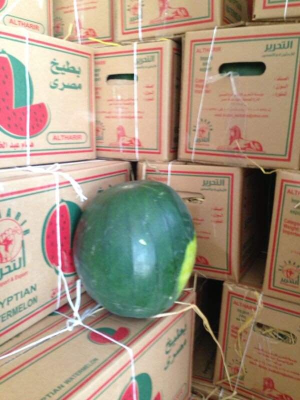 Fresh Watermelon
