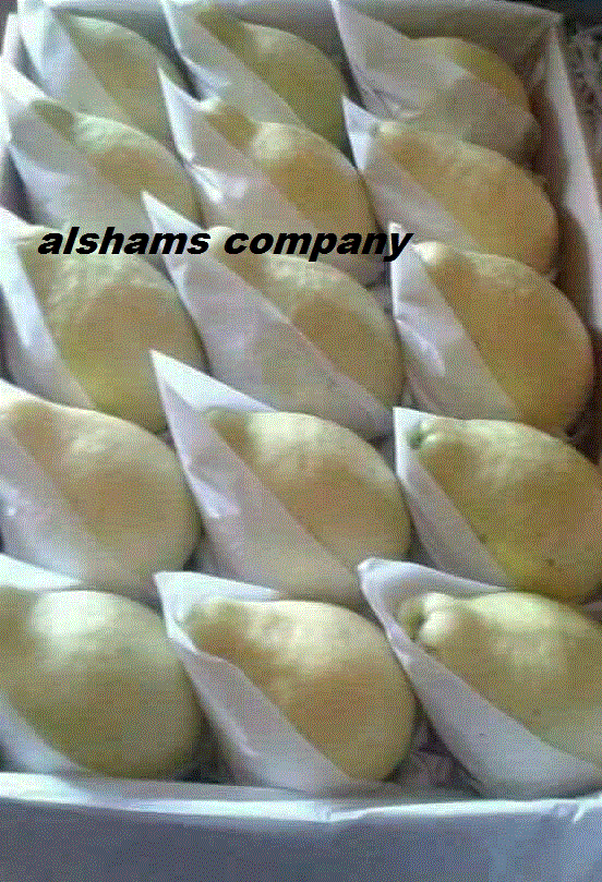 Fresh Guava
