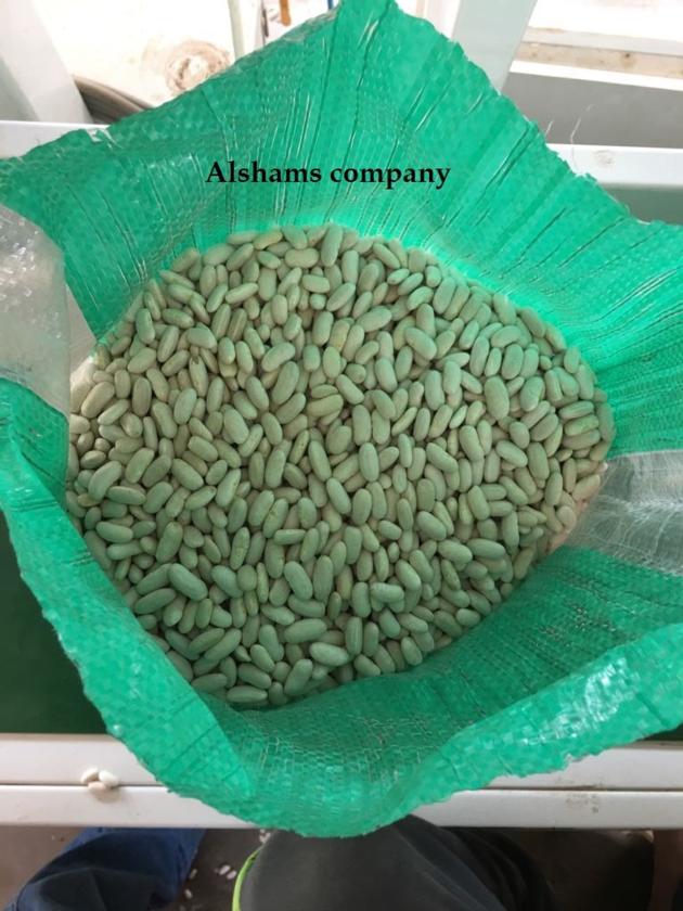 White kidney beans