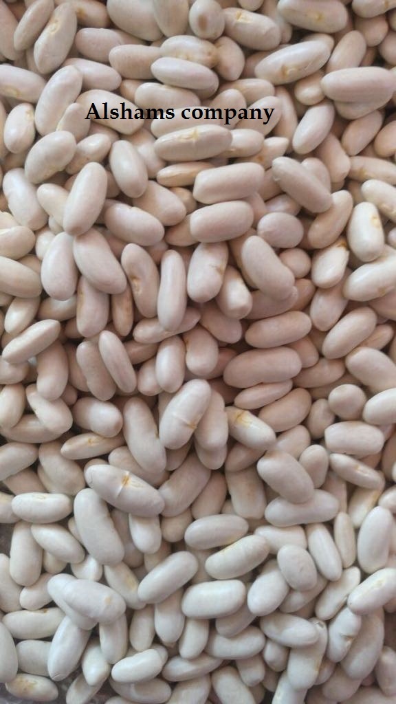 White Kidney Beans