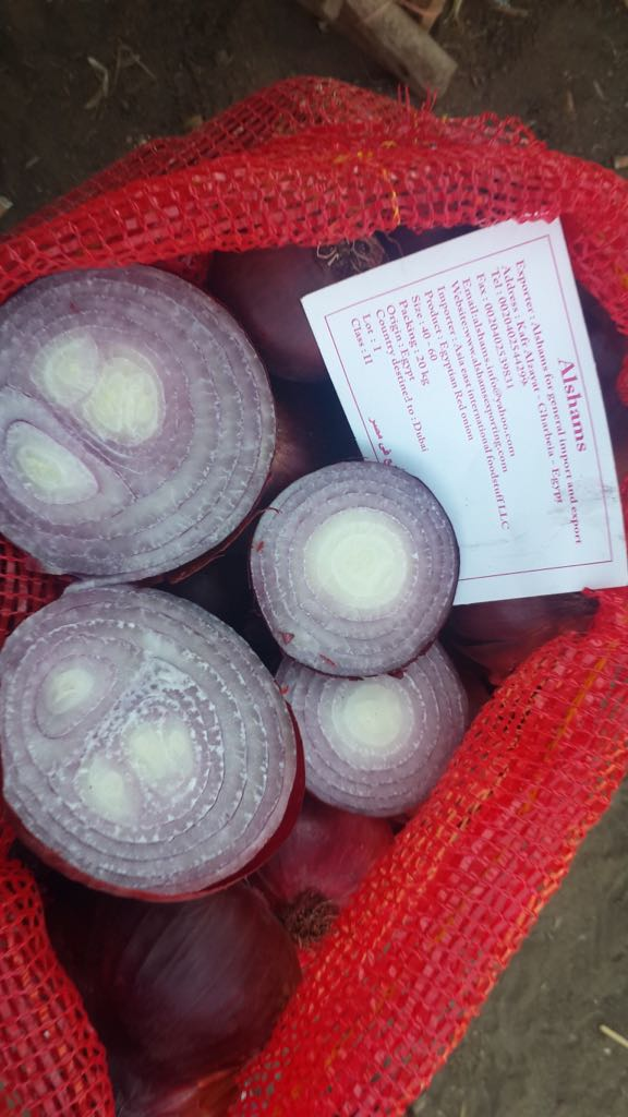 Fresh Onion