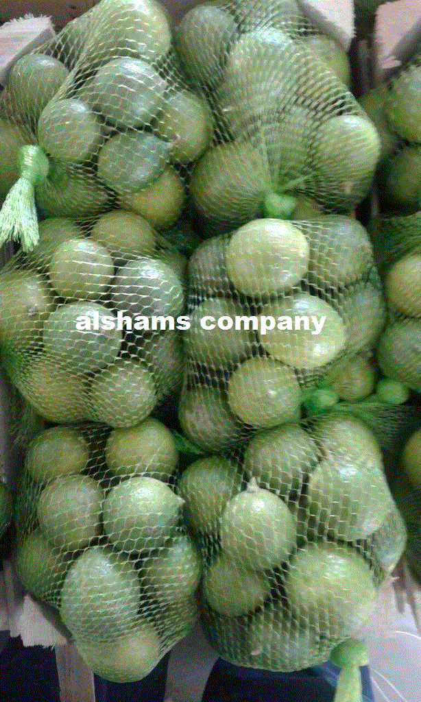 Fresh Lemon
