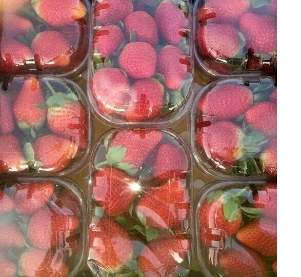 Fresh Strawberry
