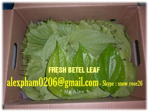 Dong leaf/ Wild betel leaf/ Pandan leaf/ Jute Leaf/ Lotus leaf