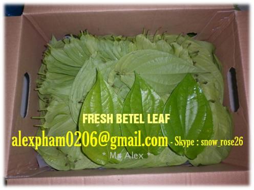 Dong leaf/ Wild betel leaf/ Pandan leaf/ Jute Leaf/ Lotus leaf