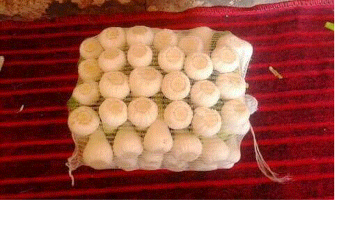 Fresh Garlic