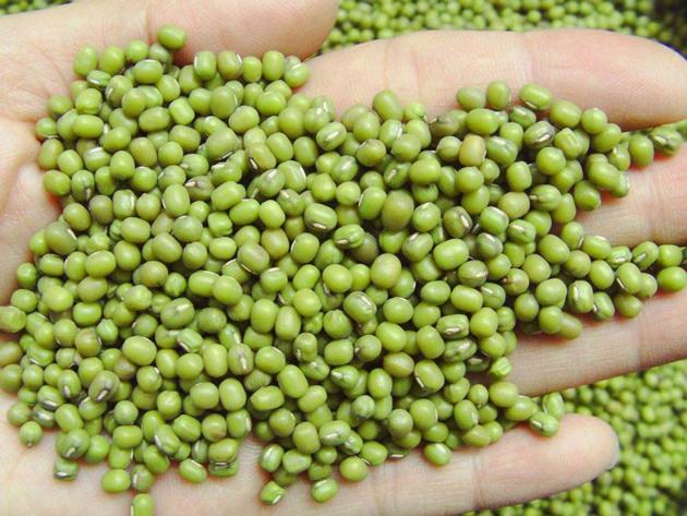 Green Mung Beans, Kidney Beans, Navy Beans