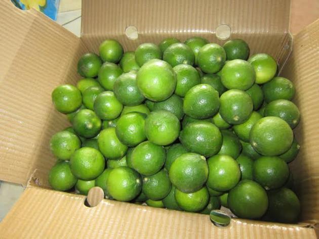 Fresh Frozen Lime Seedless Kaffir Lime