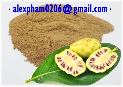 Fresh Frozen Noni Fruit/ Dried Noni Fruit/ Noni Powder/ 