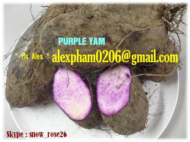 Sweet Potato Pumpkin Purple Yam Ube