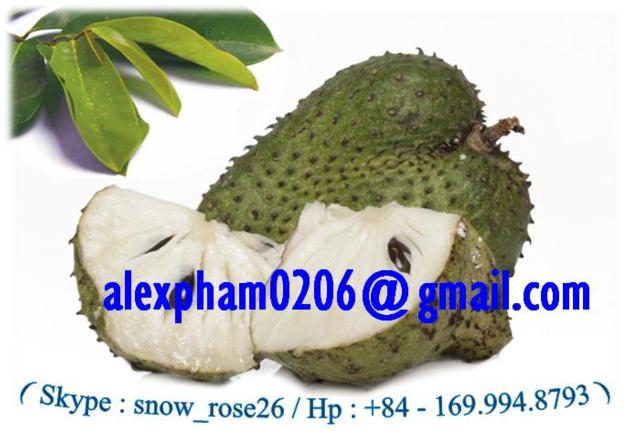 Soursop Fruit / Guyabano / Graviola Leaf Seed / Annona Powder Tea