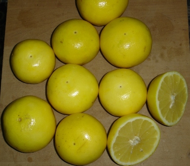 Fresh Lemon