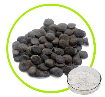 Griffonia Simplicifolia Seed Extract 5-Htp Powder