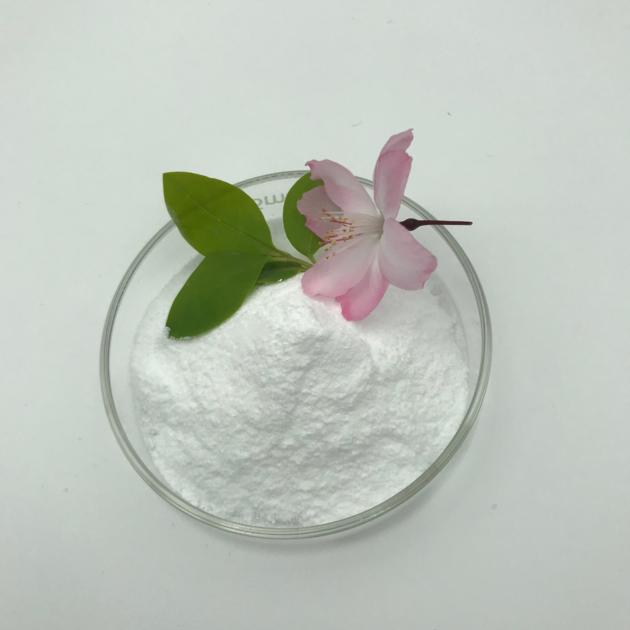 Xanthan Gum Cas11138 66 2