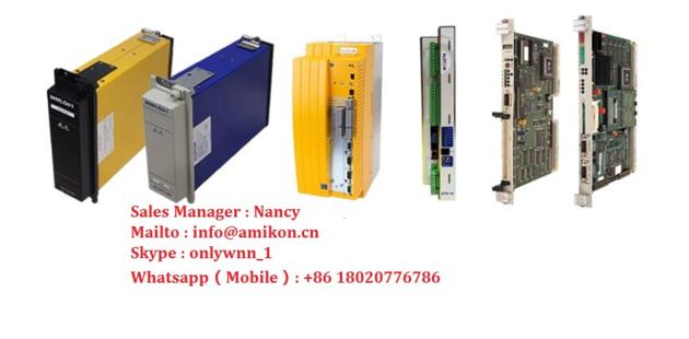 GE FANUC DS215SLCCG1AZZ01B  Dual Channel Genius Interface