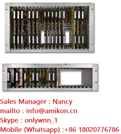 ABB 1SAP240000R000 DI524 Digital Input