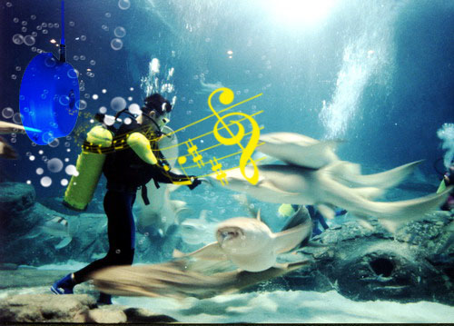 Waterproof Speaker UWS-045
