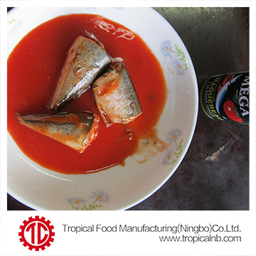 Tinned Mackerel in Tomato Sacue